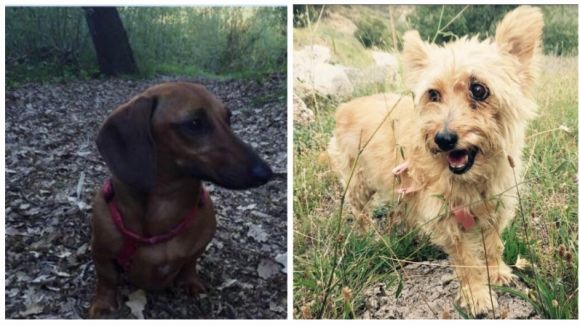 Localitzen una de les dues gosses perdudes la Nit de Cap d'Any a Sant Cugat