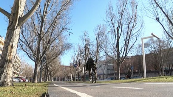 Els treballs per renovar l'arbrat de la Rambla del Celler es reprendran dilluns que ve