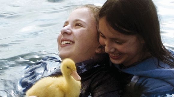 'Ocells de pas', protagonista avui del cicle de cinema en família