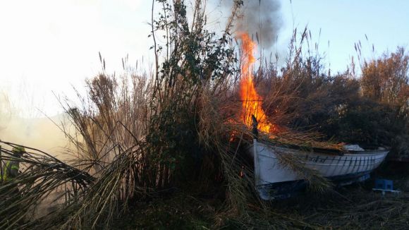 Un incendi crema una zona de canyes prop de Boehringer Ingelheim