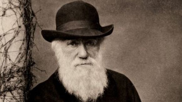 La teoria de l'evolució i el cosmos posen punt final a la conversa sobre ciència i religió a 'El Pou'