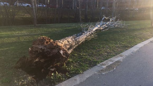 Activada l'alerta a Sant Cugat per perill de fort vent