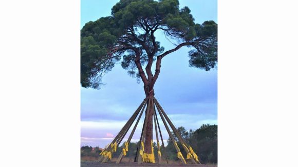 L'ANJI col·loca 1.500 llaços grocs al Pi d'en Xandri