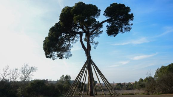 El col·lectiu Pi d'en Xandri +20 proposa aquest dissabte una caminada en defensa de Torre Negra