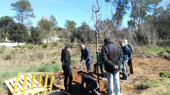 La 5a Festa de l'Arbre posa de manifest la necessitat de preservar els espais naturals i la biodivesitat