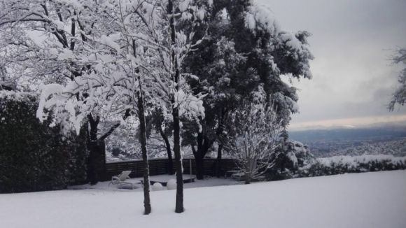 Els talls a les vies pels arbres caiguts a causa de la neu ja estan solucionats