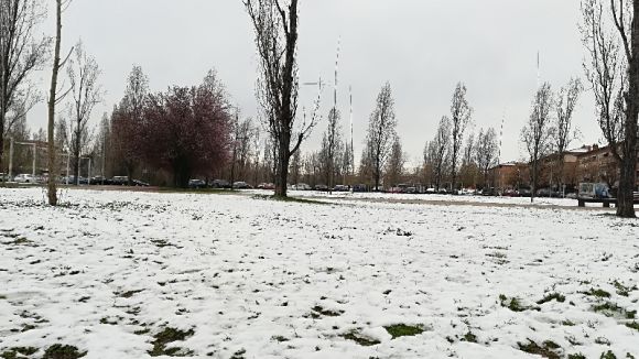 Diversos arbres cauen i provoquen talls a la circulació a causa de la nevada