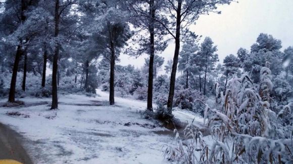 Restablert el servei d'autobusos en totes les línies
