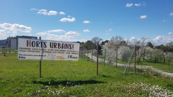 Recta final de les obres d'adequació dels horts urbans del carrer d'Amposta
