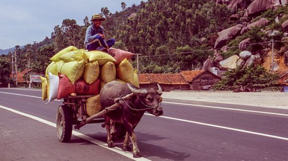 'Vietnam - I 2004, un recorregut fotogràfic', la nova exposició de Cal Gerrer