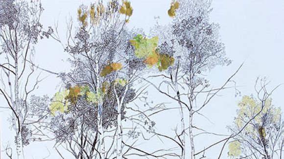 Tatiana Blanqué inaugura a la Sala Rusiñol 'Allò que amaguen els arbres, antropologies naturals'