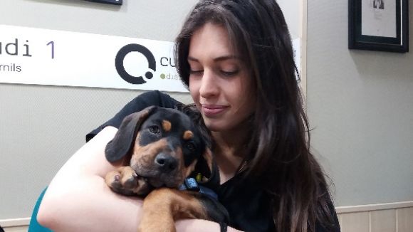 L'equip d'El Cau Amic parla de la importància d'una adopció responsable quan es tracta de cadells