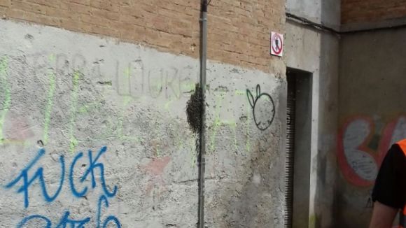 Dos nous ruscos d'abelles a Sant Cugat obliguen els Bombers a intervenir