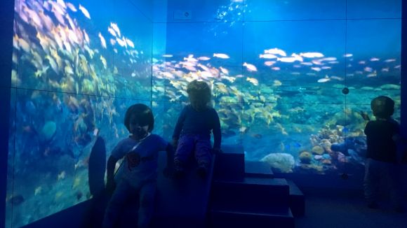 Els infants de l'escola bressol Cavall Fort gaudeixen dels beneficis de l'aula multisensorial