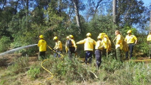 Els familiars dels 'presos i exiliats polítics' i les ADF reben la Creu de Sant Jordi