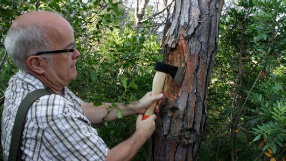 Un projecte per fer servir biomassa per netejar aigua de metalls pesants, a 'El Pou'