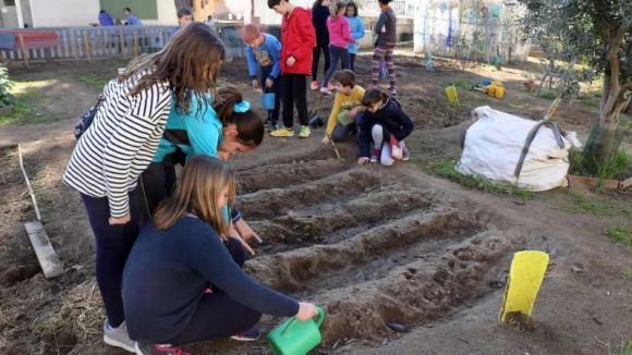 Arrenca el curs escolar a Sant Cugat amb 20.695 alumnes matriculats
