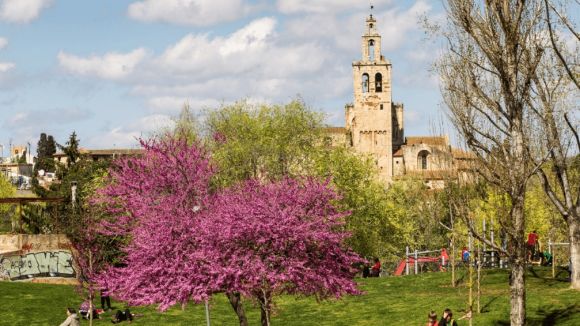 Sant Cugat rep el màxim distintiu de Viles Florides