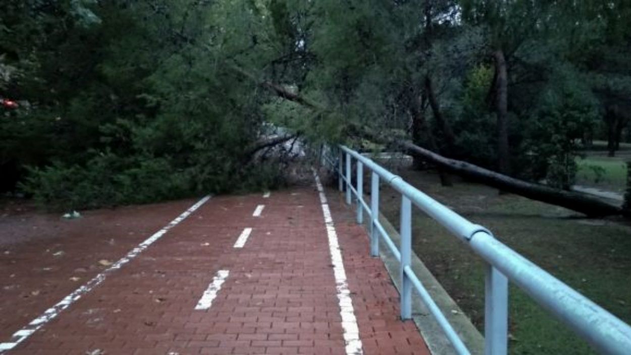 L'episodi de vent deixa lleus incidències a Sant Cugat