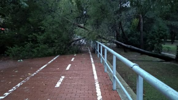 El pas del temporal per Sant Cugat, en imatges