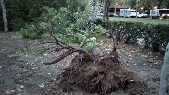 El temporal de pluja i vent deixa a Sant Cugat una vintena d'incidències