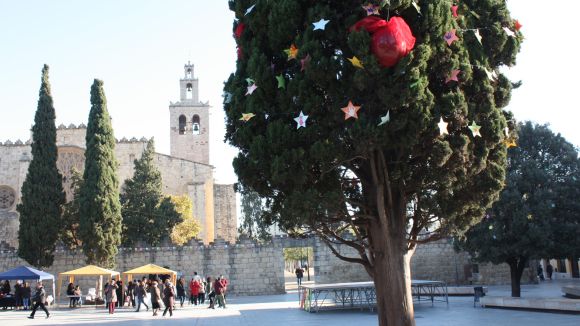 L'Ajuntament convida els santcugatencs a guarnir el xiprer d'Octavià per Nadal