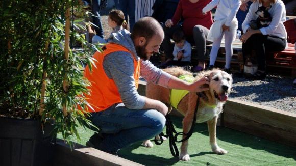S'ajorna la Jornada d'Adopcions d'El Cau Amic per la previsió de pluja