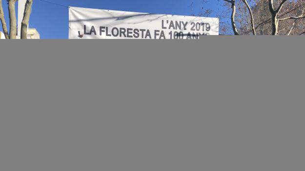 El servei de Correus i les incidències en l'enllumenat, al consell de barri de la Floresta