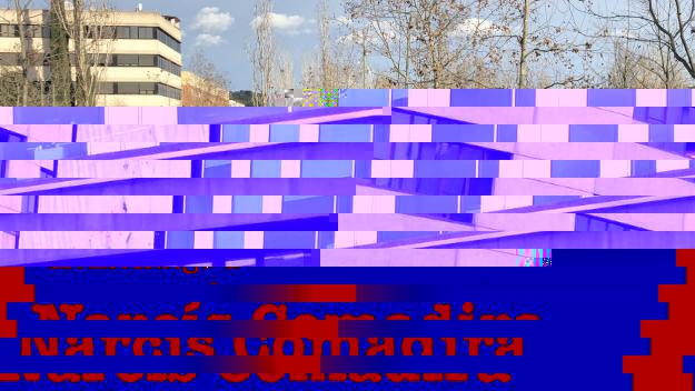 El 'Softcombat', la recreació de batalles d'època amb armes toves