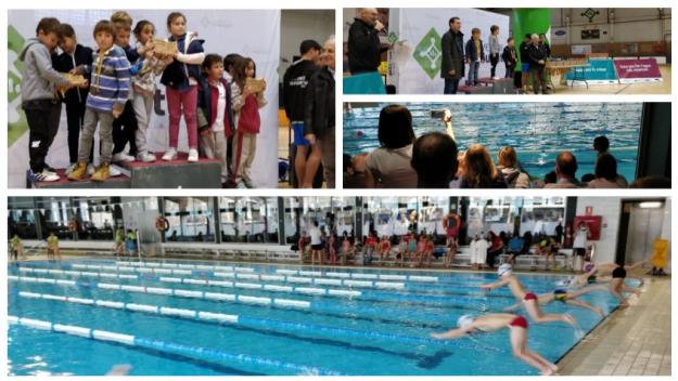 Més de 300 infants gaudeixen de l'esport amb el Campionat de Natació Escolar