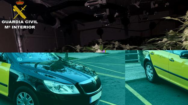 Intervingudes 126 plantes de marihuana en l'operació de la Guàrdia Civil a Sant Cugat