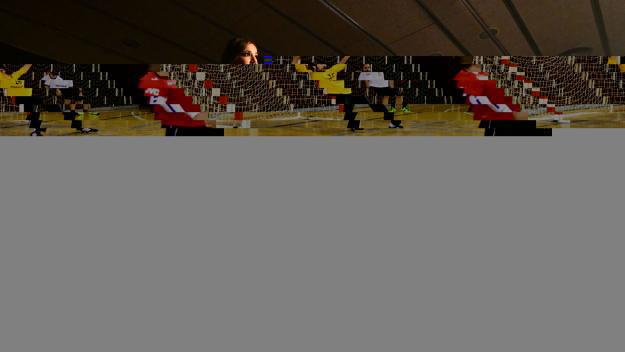 El CPA reivindica la seva capacitat integradora en la celebració del Dia d'Andalusia