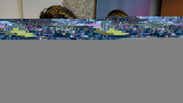 ICV-EUiA vol que el ple rebutgi el nou decret de millora de l'accés a l'habitatge de la Generalitat