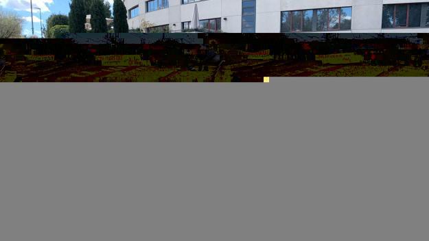 Una quinzena de gossos busquen una família en la jornada d'adopcions de la PAS