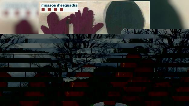 Detingut per un presumpte robatori amb força a Sant Cugat