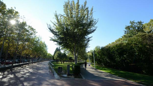 1994: S'inaugura el Parc Central