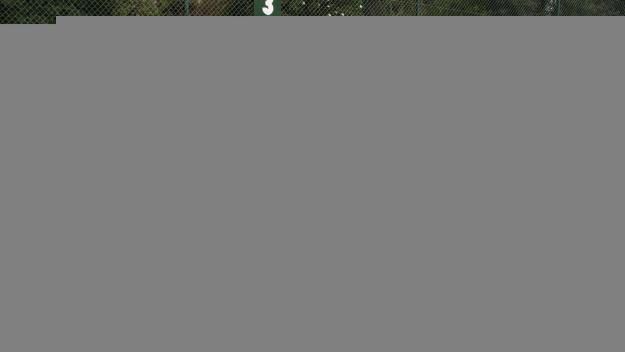 520 jugadors i jugadores han disputat el torneig Rafa Nadal al Club Esportiu Valldoreix