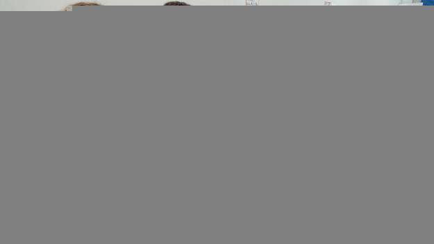 Matí tranquil i sense cues als col·legis electorals de Sant Cugat