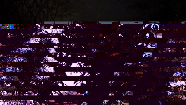 El Ballet du Capitole porta 'Giselle' al Teatre-Auditori