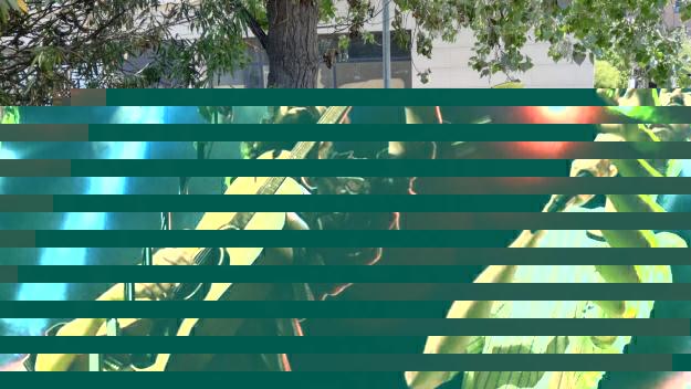 Dos petits incendis en un matí a Sant Cugat