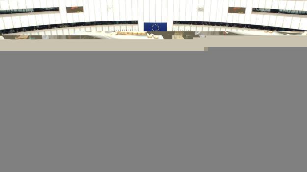 La ciutadania europea decideix avui la composició de l'Eurocambra