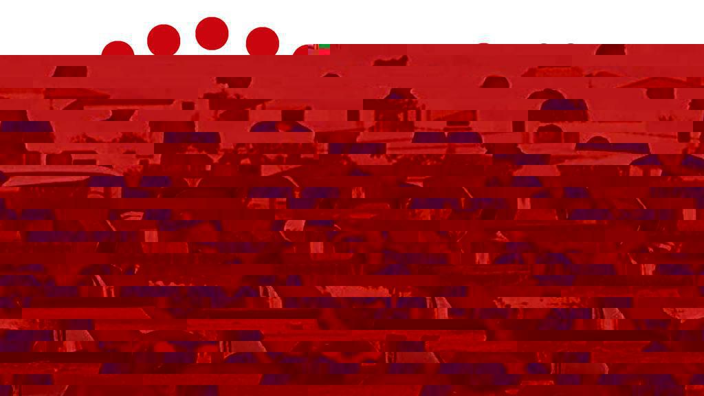 L'evolució del ple municipal en dos minuts