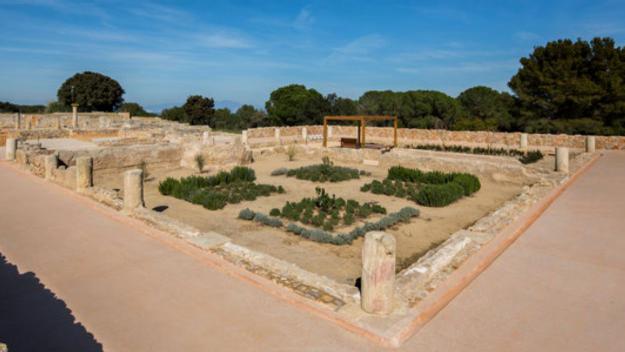 El substrat lingüístic, història d'una llengua, a 'L'anell al dit'