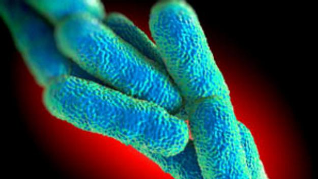 Continua la investigació per determinar l'origen del brot de legionel·losi a Sant Cugat