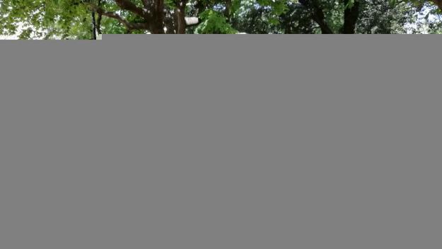 La Festa Major gaudeix dels balls dels Caparrots que enguany celebren 10 anys