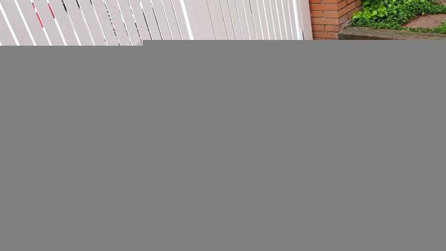 Trobat el propietari del gos perdut als voltants de l'Hospital General