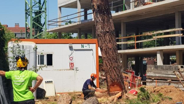 [Fotodenúncia] El totxo davant la vida