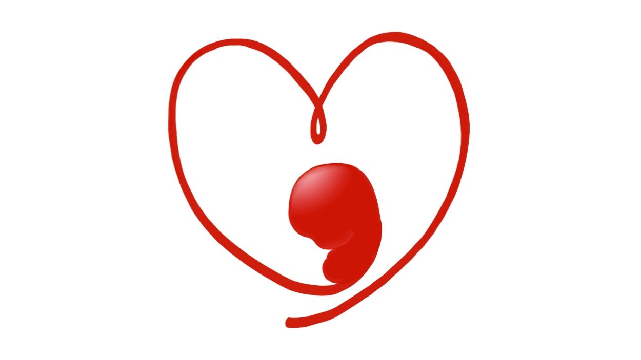 Anhel celebra el segon aniversari als Jardins del Monestir