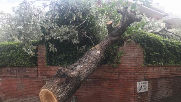 La pluja mobilitza els Bombers en més de 70 incidències