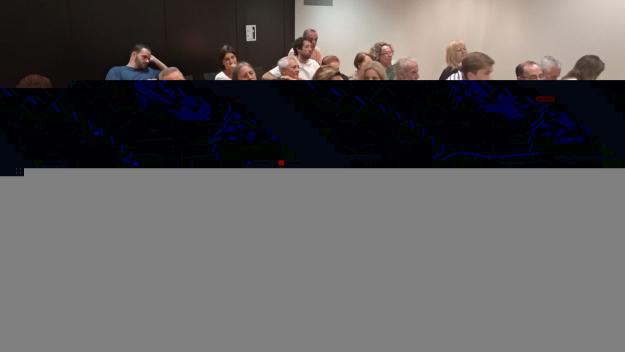 L'estat dels carrers i la normativa de les terrasses, a l'audiència pública del ple municipal